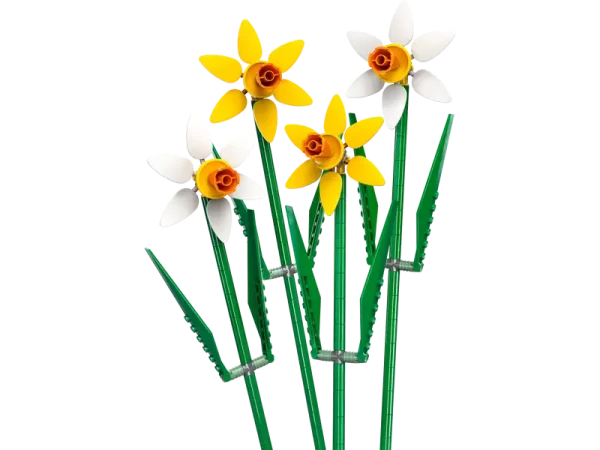 Конструктор Lego Iconic 40747 - Нарциси - Image 5