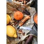 Сгъваем нож Opinel - Carbone №5, острие 6 см