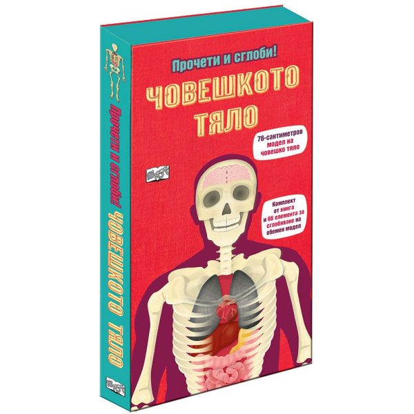 Прочети и сглоби! - Човешкото тяло, 76 сантиметра - Image 1