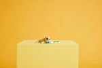Конструктор LEGO® Creator 31162 - Зайче/Тюлен/Лама - Image 4