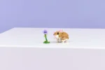 LEGO® Creator 31376 - Сладък хамстер с цвете - Image 2