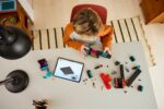 LEGO® Minecraft® 21279 - Кулата на Ендърмен
